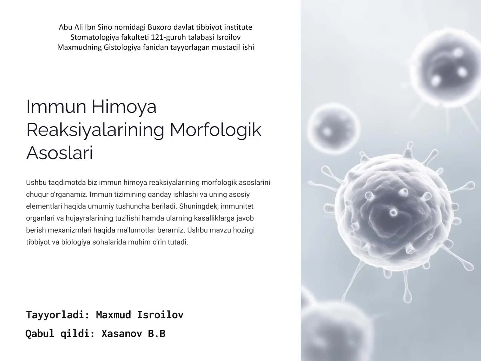 Immun Himoya Reaksiyalarining Morfologik Asoslari