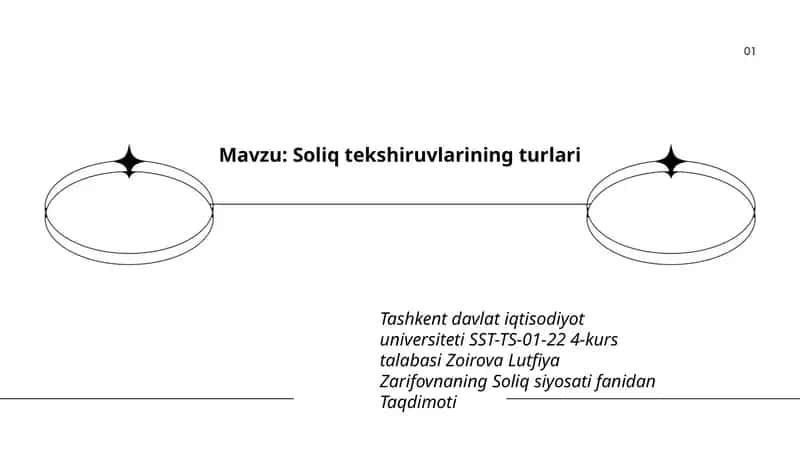 Soliq tekshiruvlarining turlari