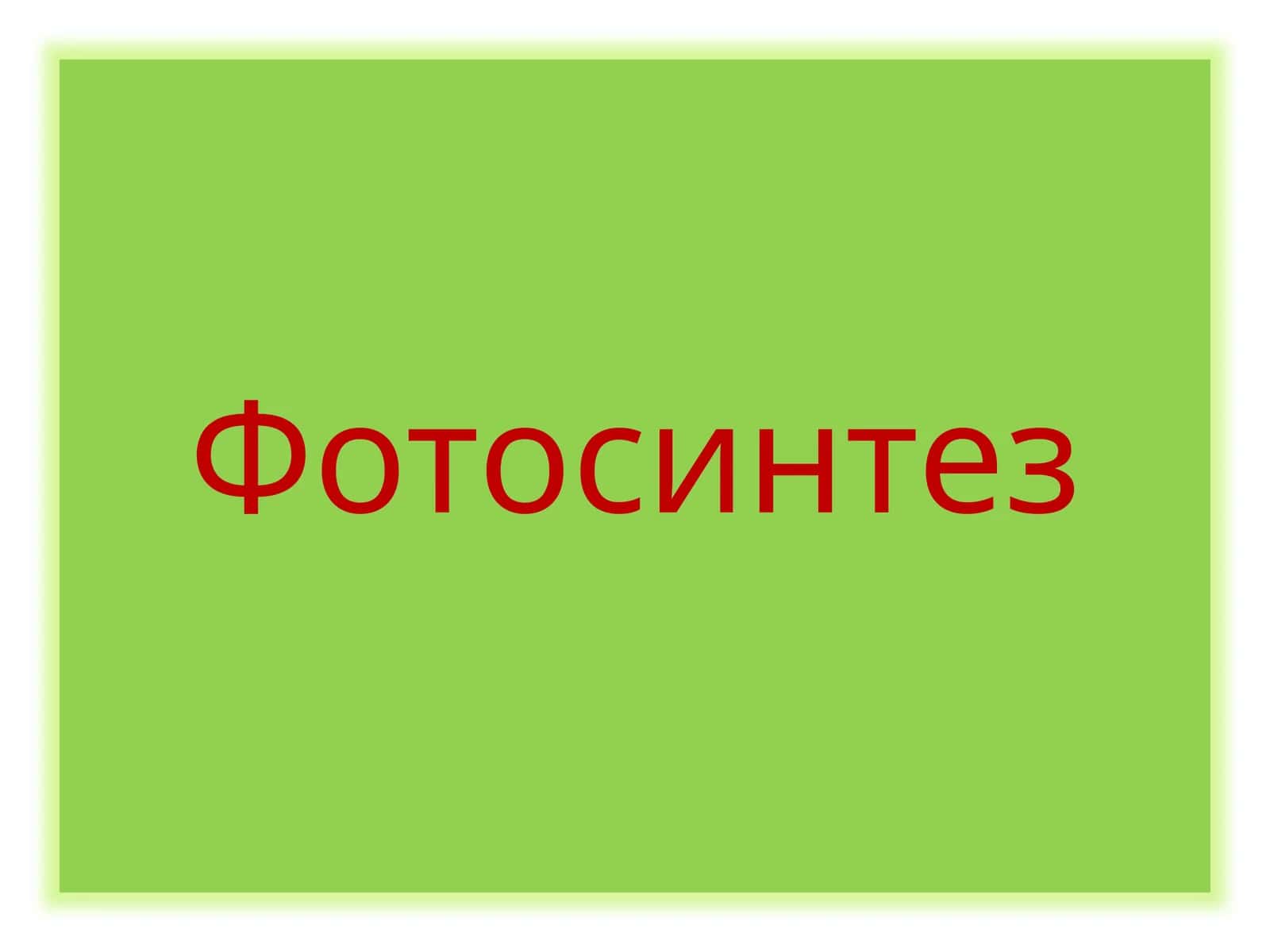 Фотосинтез