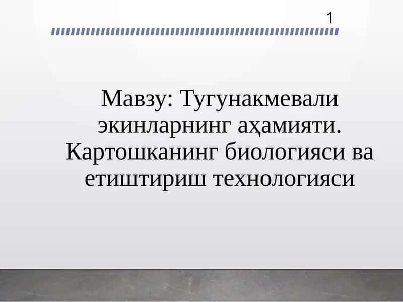 Тугунакмева ва картошка