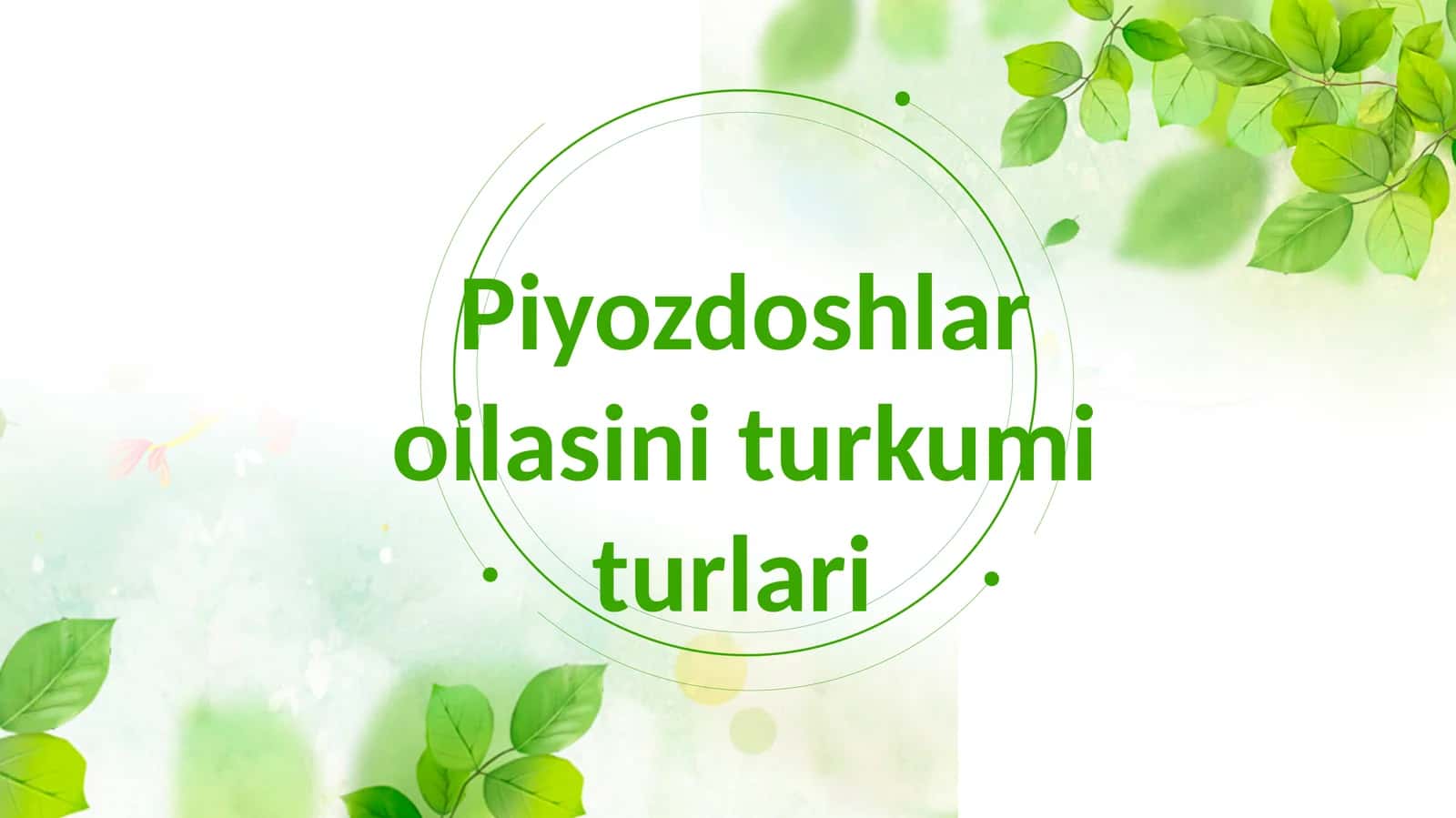 Piyozdoshlar oilasini turkum turlari