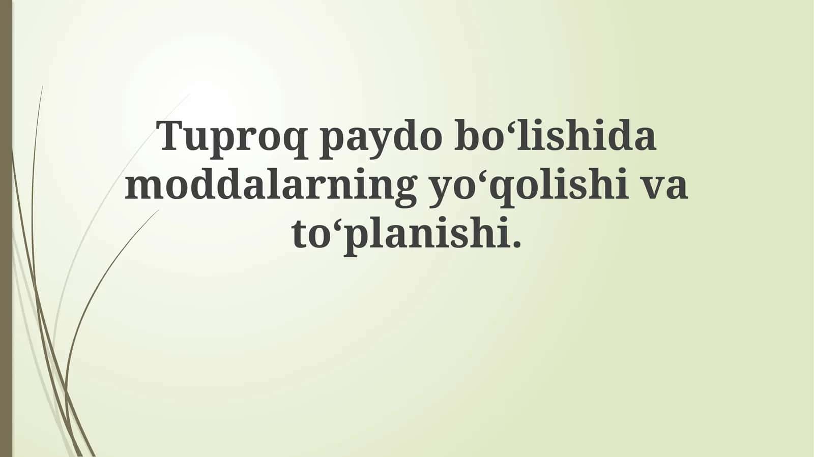 Tuproqpaydobo‘lishidamoddalarningyo‘qolishivato‘planishi