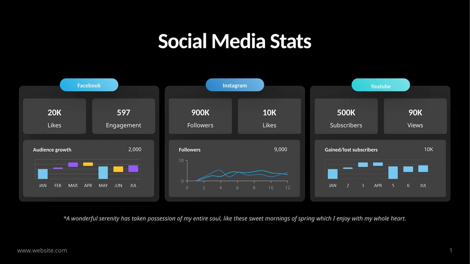 Social Media Stats