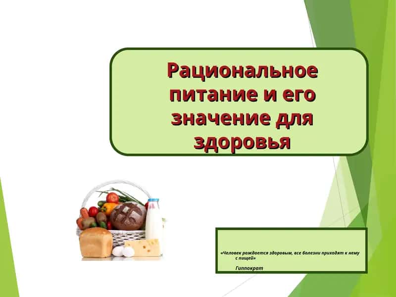 Рациональное питание и его значение для здоровья