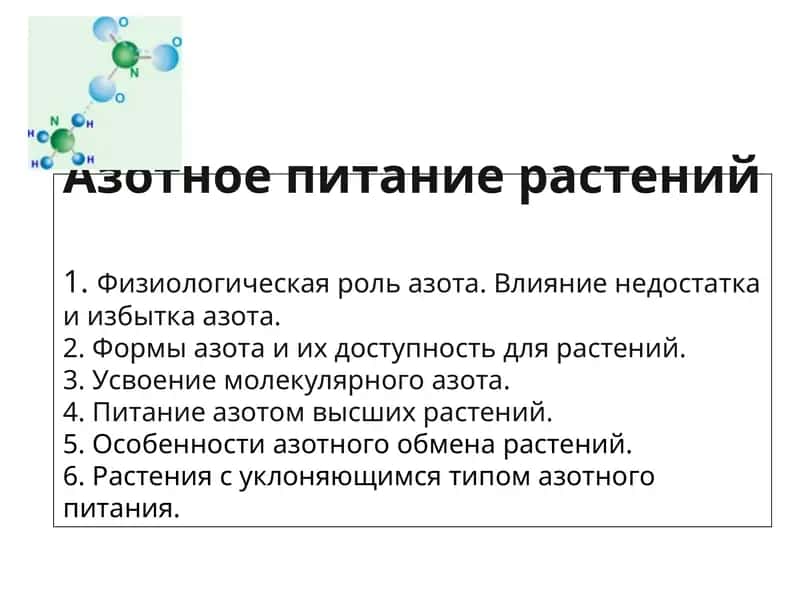 Азотное питание растений
