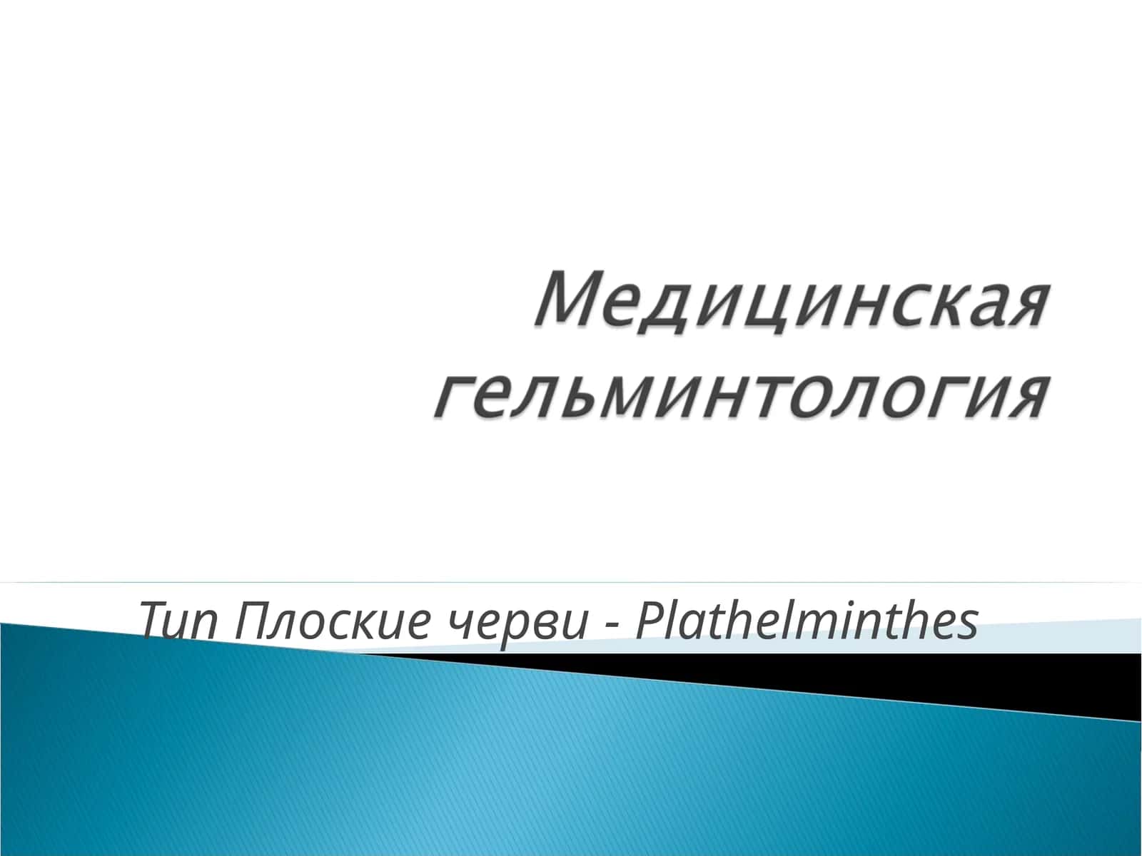 Тип Плоские черви-Plathelminthes