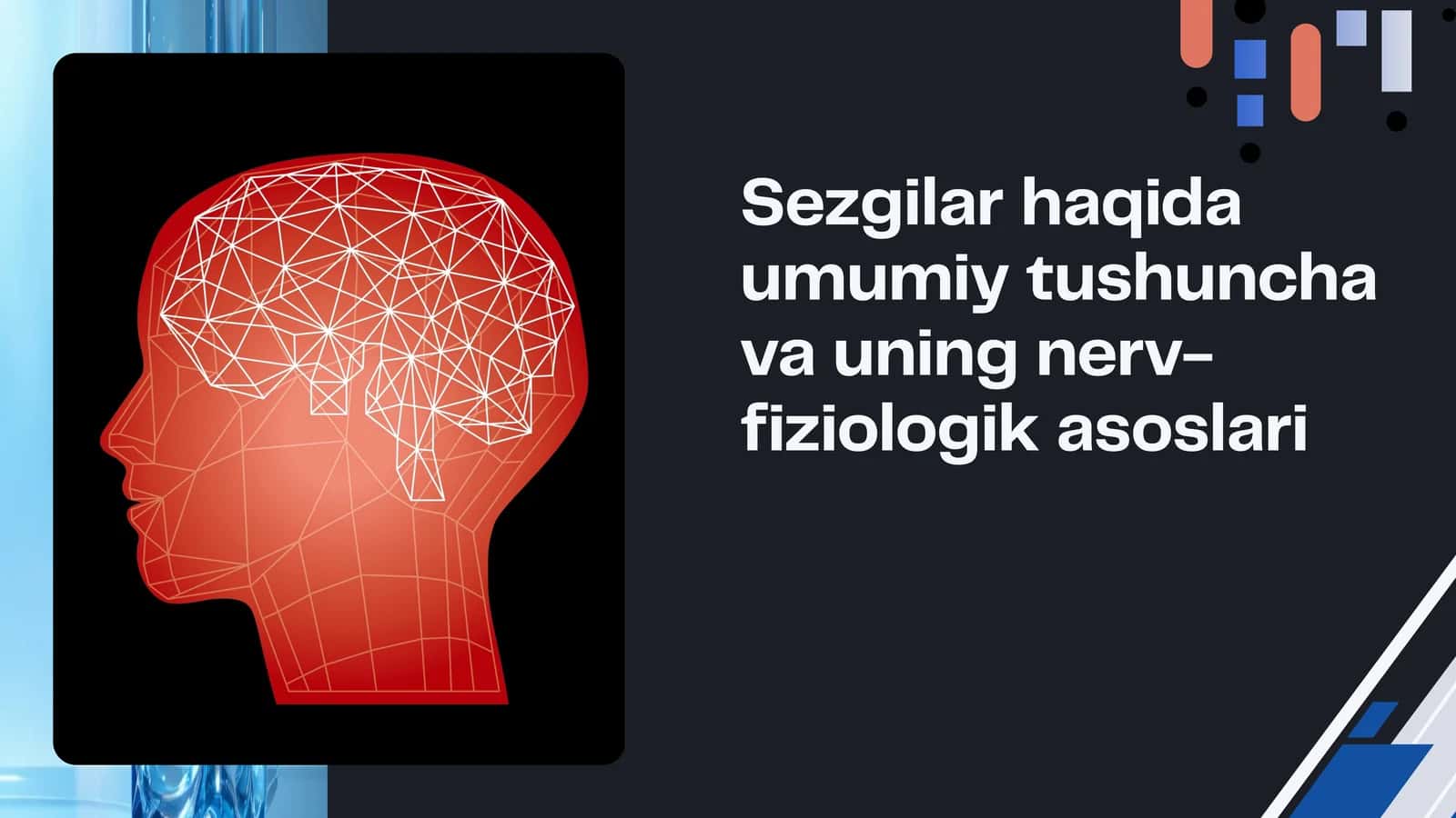 Sezgilar haqida umumiy tushuncha va uning nerv-fiziologik asoslari