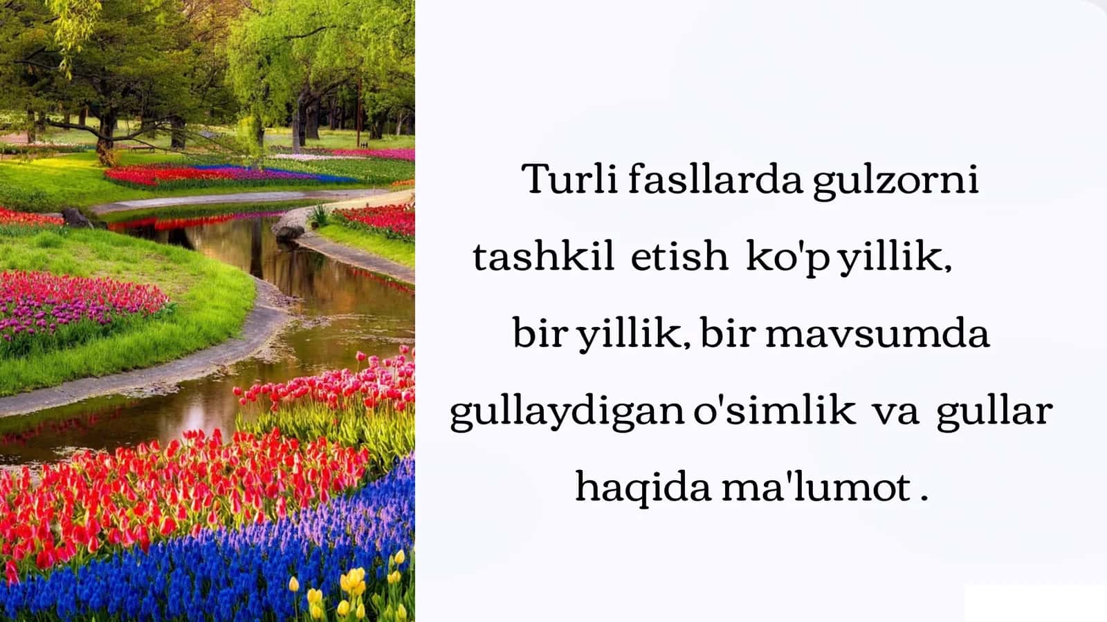 Turlifasllardagulzornitashkiletishko'pyillik,biryillik,birmavsumdagullaydigano'simlikvagullarhaqidama'lumot
