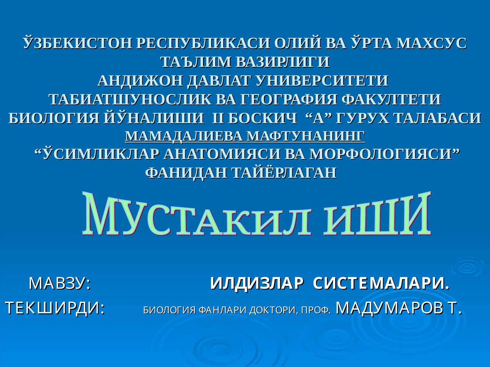 Илдизлар системалари