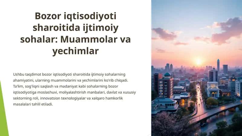 Bozor iqtisodiyoti sharoitida ijtimoiy sohalar: Muammolar va yechimlar
