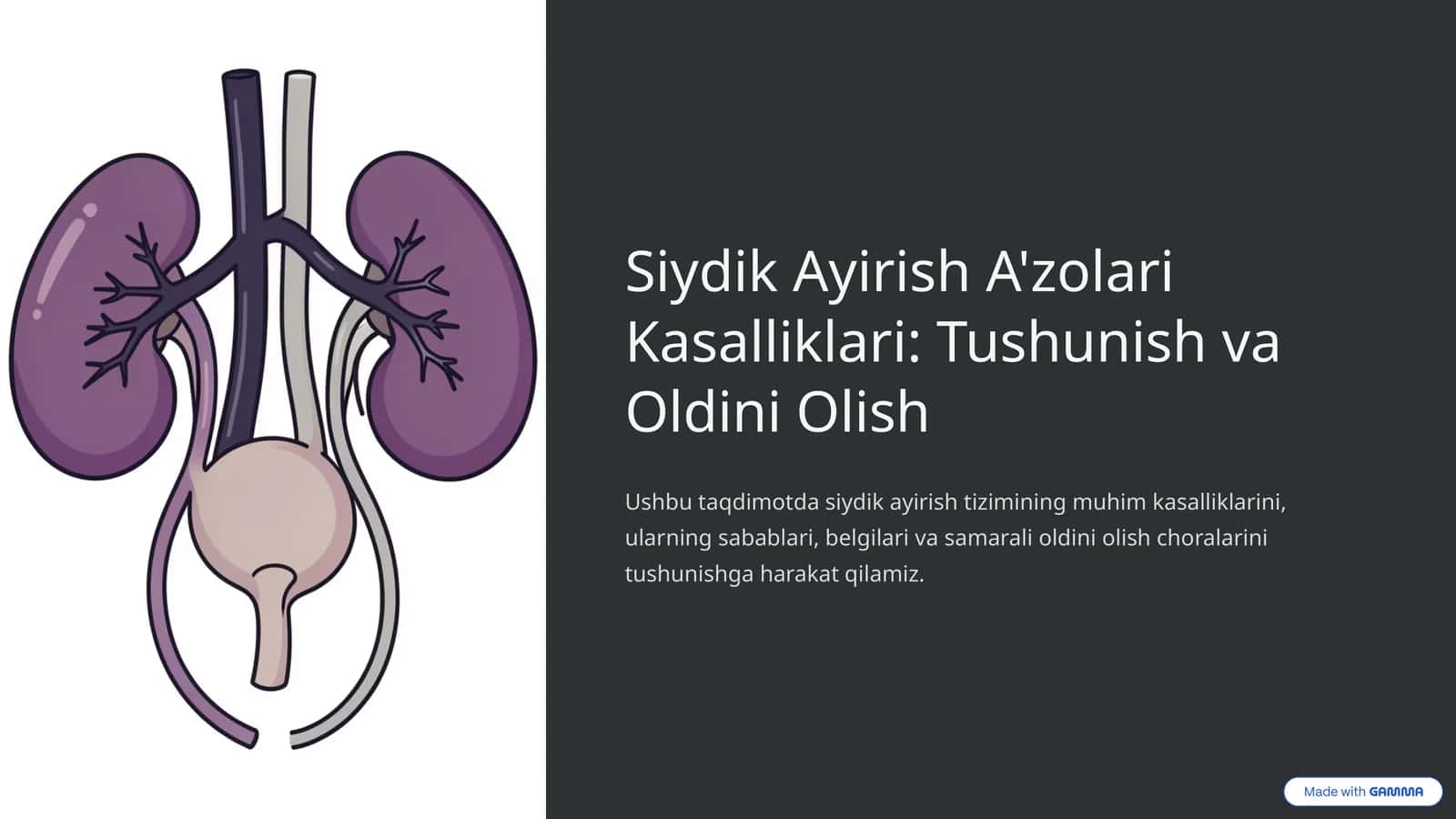 Siydik Ayirish A'zolari Kasalliklari: Tushunish va Oldini Olish