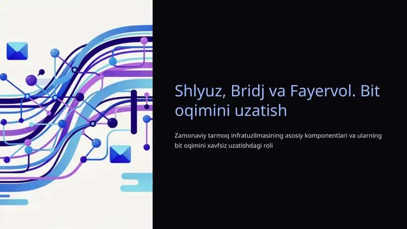 Shlyuz, Bridj va Fayervol. Bit oqimini uzatish