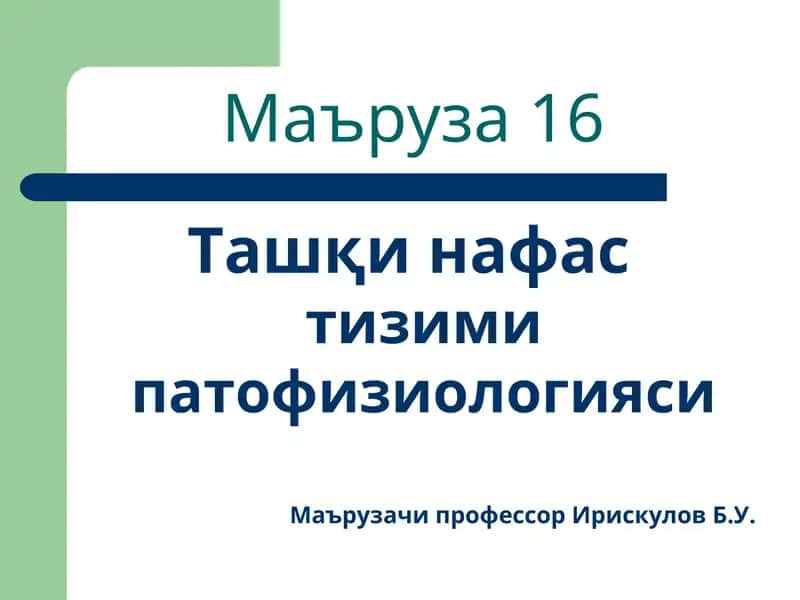Ташқи нафастизими патофизиологияси