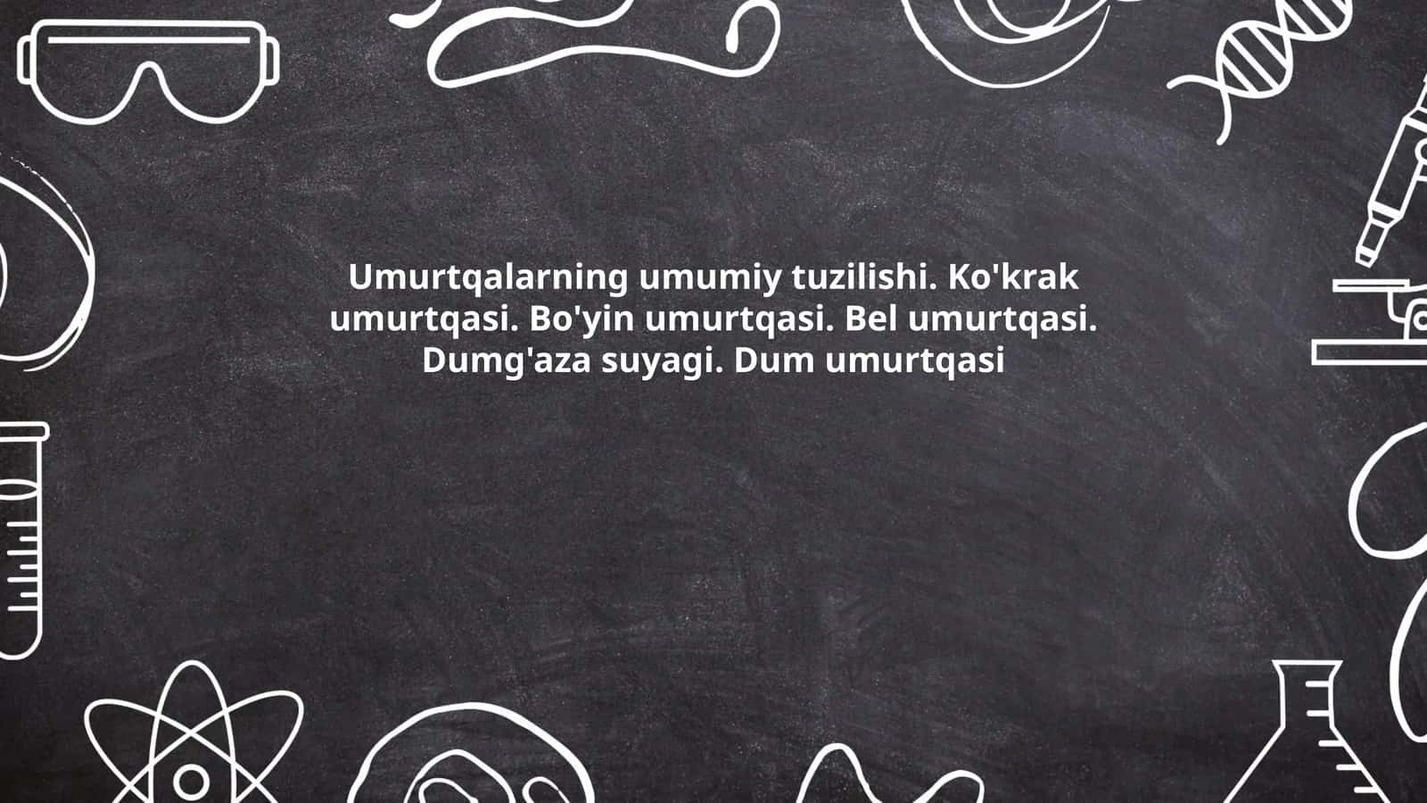 Umurtqalarning umumiy tuzilishi. Ko'krak umurtqasi. Bo'yin umurtqasi. Bel umurtqasi. Dumg'aza suyagi. Dum umurtqasi