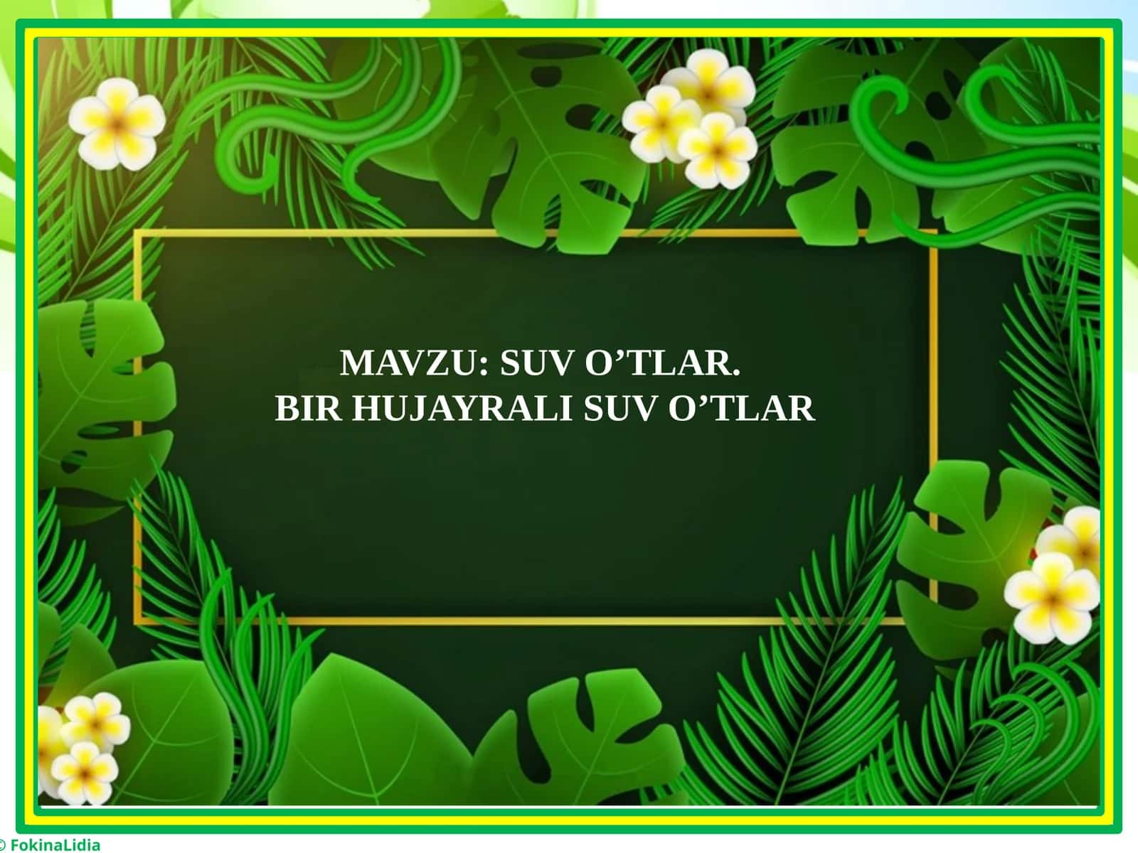 BIR HUJAYRALI SUV O’TLAR