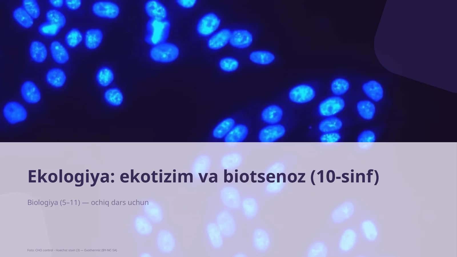 Ekologiya: ekotizim va biotsenoz (10-sinf)