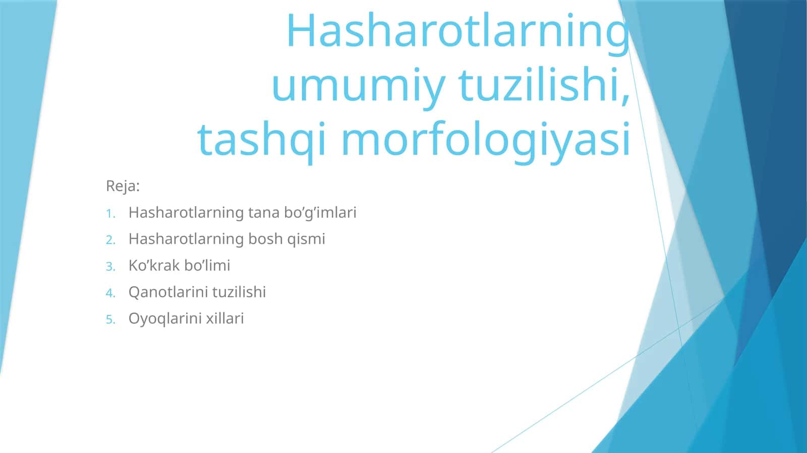 Hasharotlarning umumiy tuzilishi, tashqi morfologiyasi