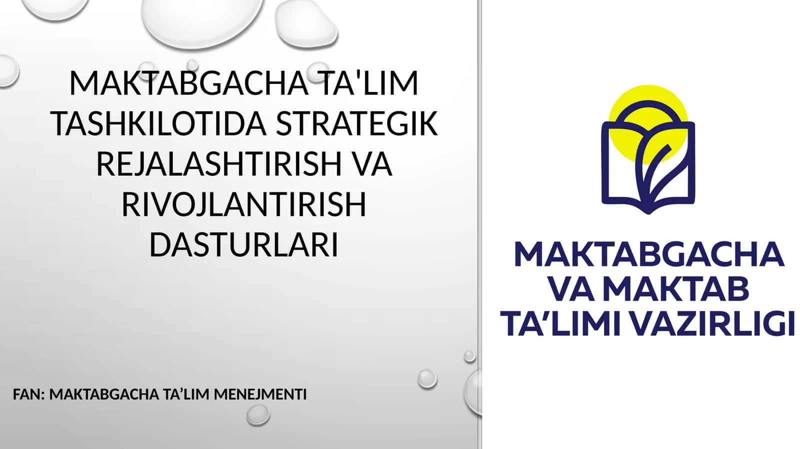 Maktabgacha ta'lim tashkilotida strategik rejalashtirish va rivojlantirish dasturlari