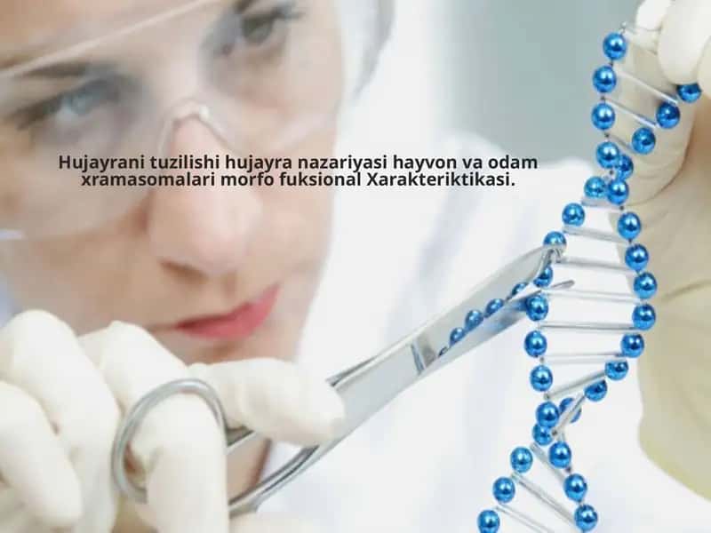 Hujayrani tuzilishi hujayra nazariyasi hayvon va odam xramasomalari morfo fuksional Xarakteriktikasi