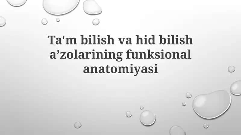 Ta'mbilish va hidbilishazorining funksional anatomiyasi