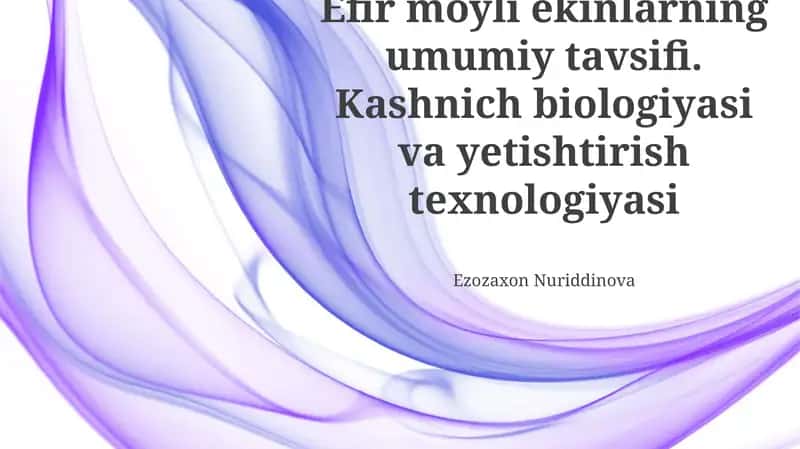 Efir moyli ekinlarning umumiy tavsifi
