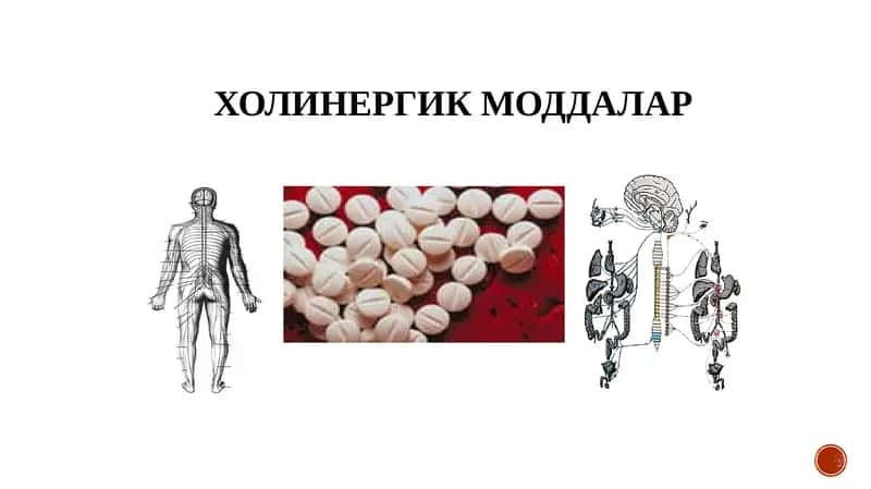 ХОЛИНЕРГИК МОДДАЛАР
