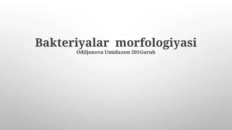 Bakteriyalar morfologiyasi