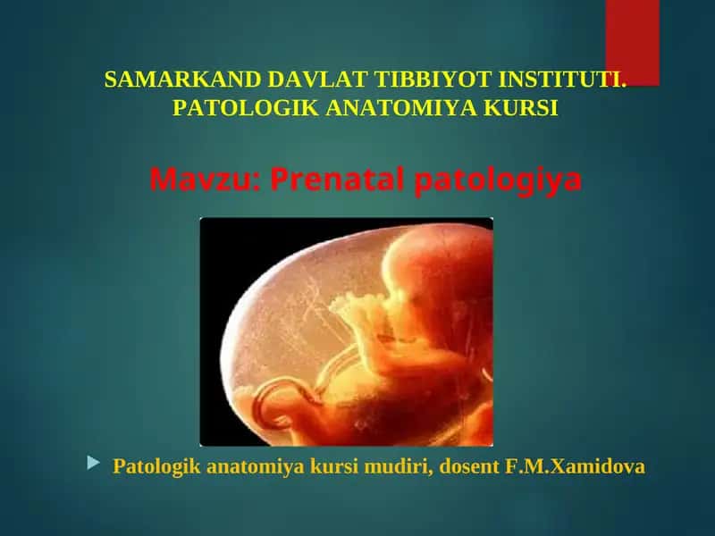 SAMARKAND DAVLAT TIBBIYOT INSTITUTI. PATOLOGIK ANATOMIYA KURSI