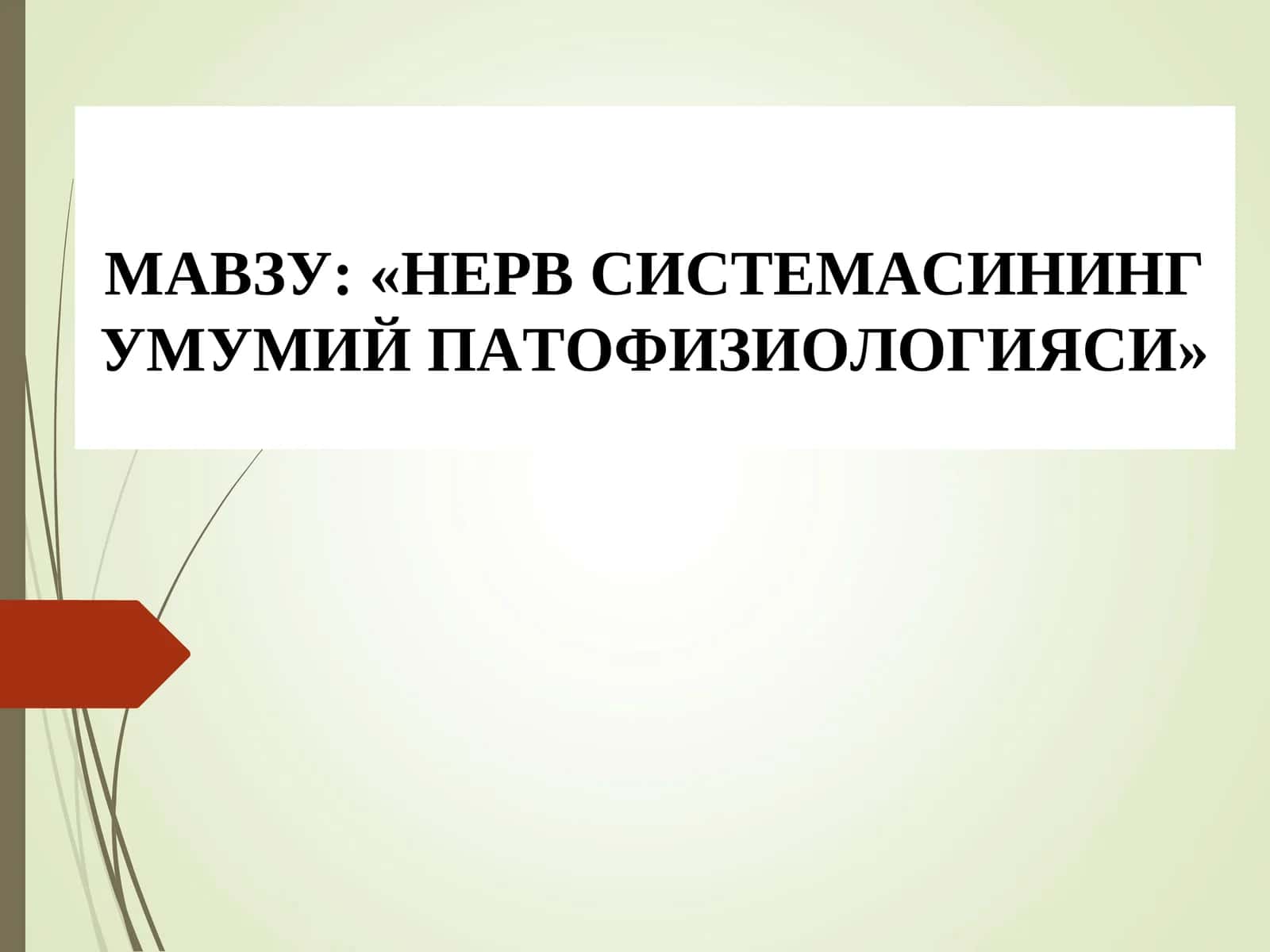 «НЕРВ СИСТЕМАСИНИНГ УМУМИЙ ПАТОФИЗИОЛОГИЯСИ»