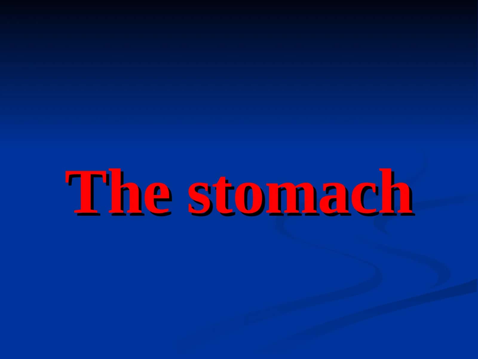 The stomach