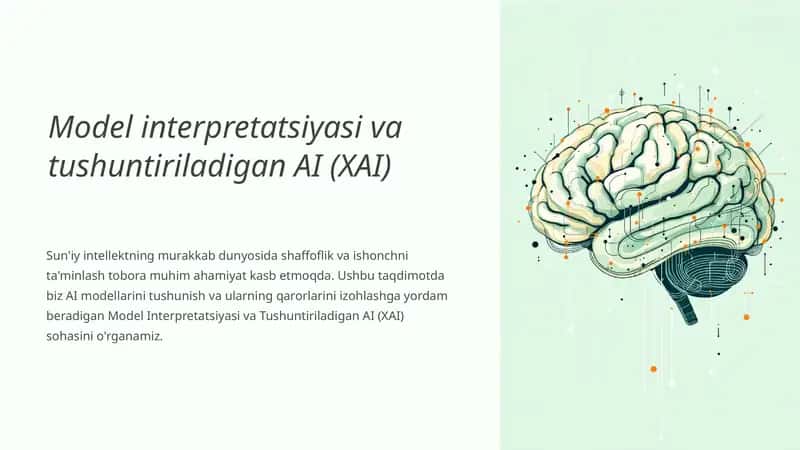 Model Interpretatsiyasi va Tushuntiriladigan AI (XAI)