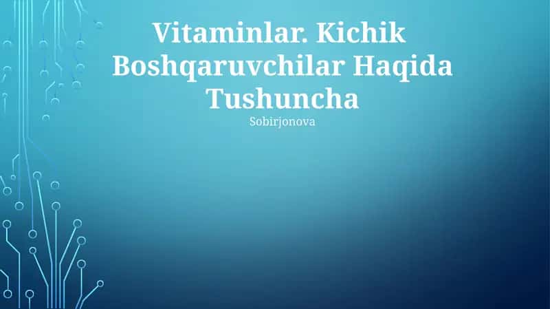 Vitaminlar. Kichik Boshqaruvchilar Haqida Tushuncha