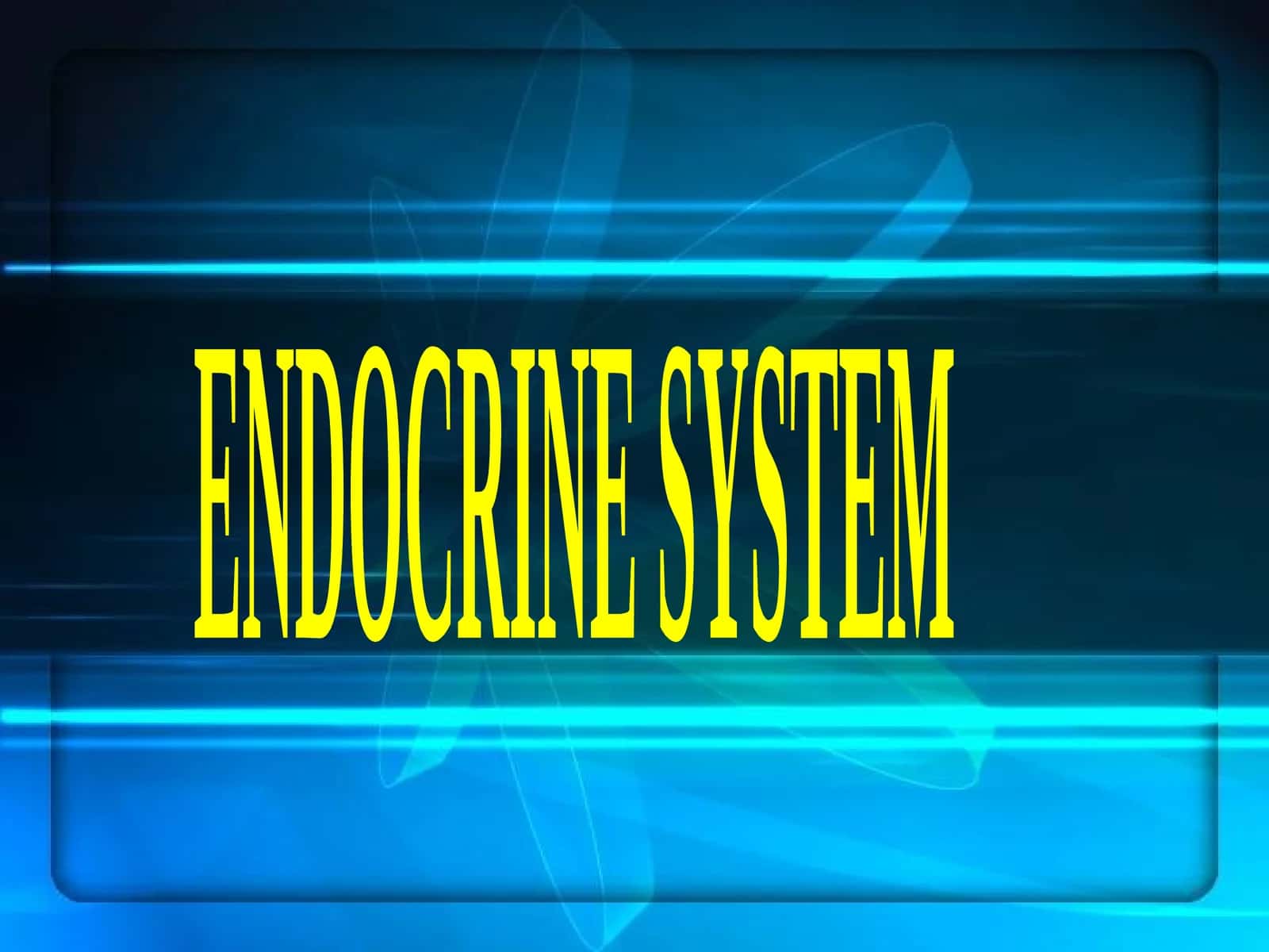 ENDOCRINE SYSTEM