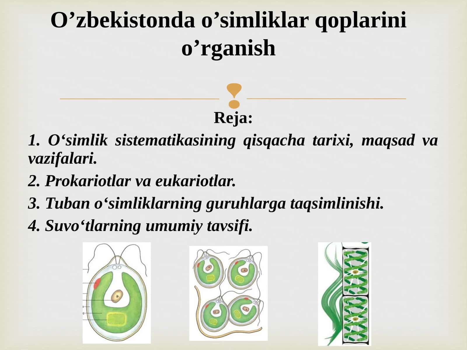 O’zbekistonda o’simliklar qoplarini o’rganish