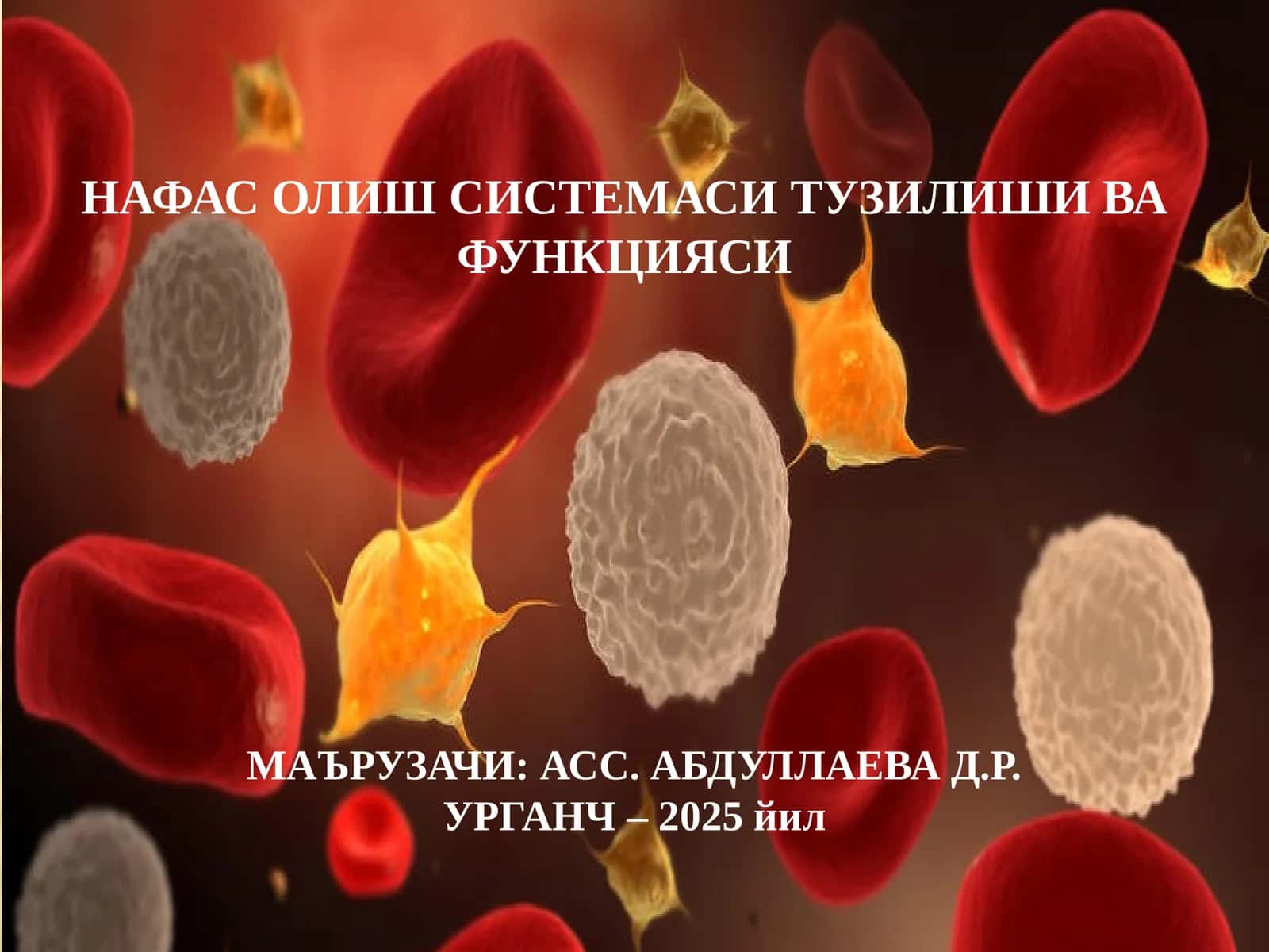 НАФАС ОЛИШ СИСТЕМАСИ ТУЗИЛИШИ ВА ФУНКЦИЯСИ