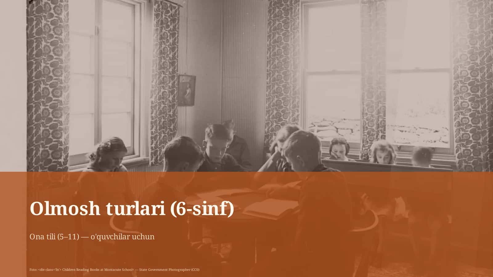Olmosh turlari (6-sinf)