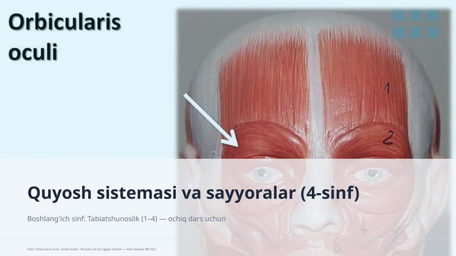 Quyosh sistemasi va sayyoralar (4-sinf)