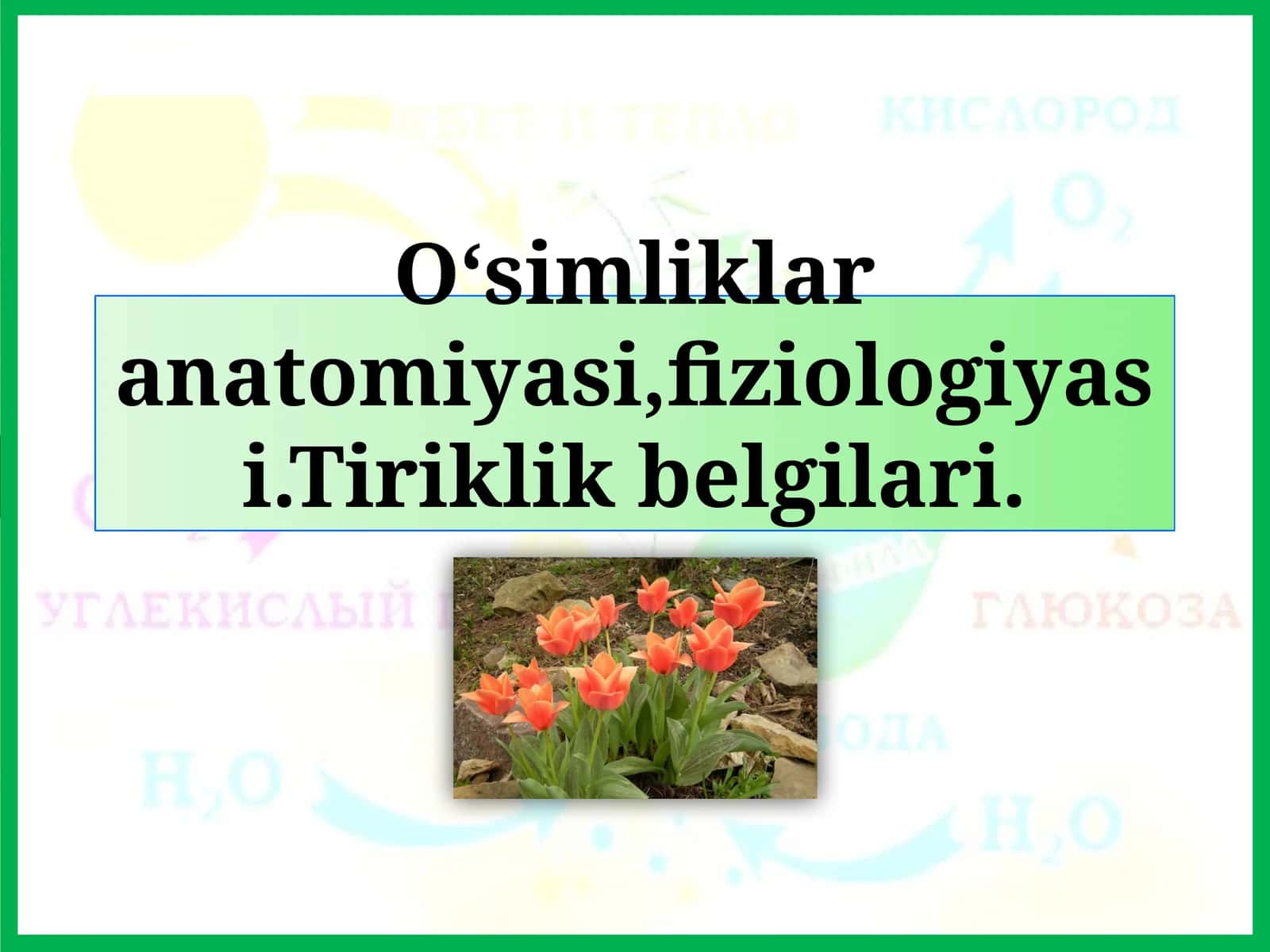O‘simliklar anatomiyasi, fiziologiyasi. Tiriklik belgilari