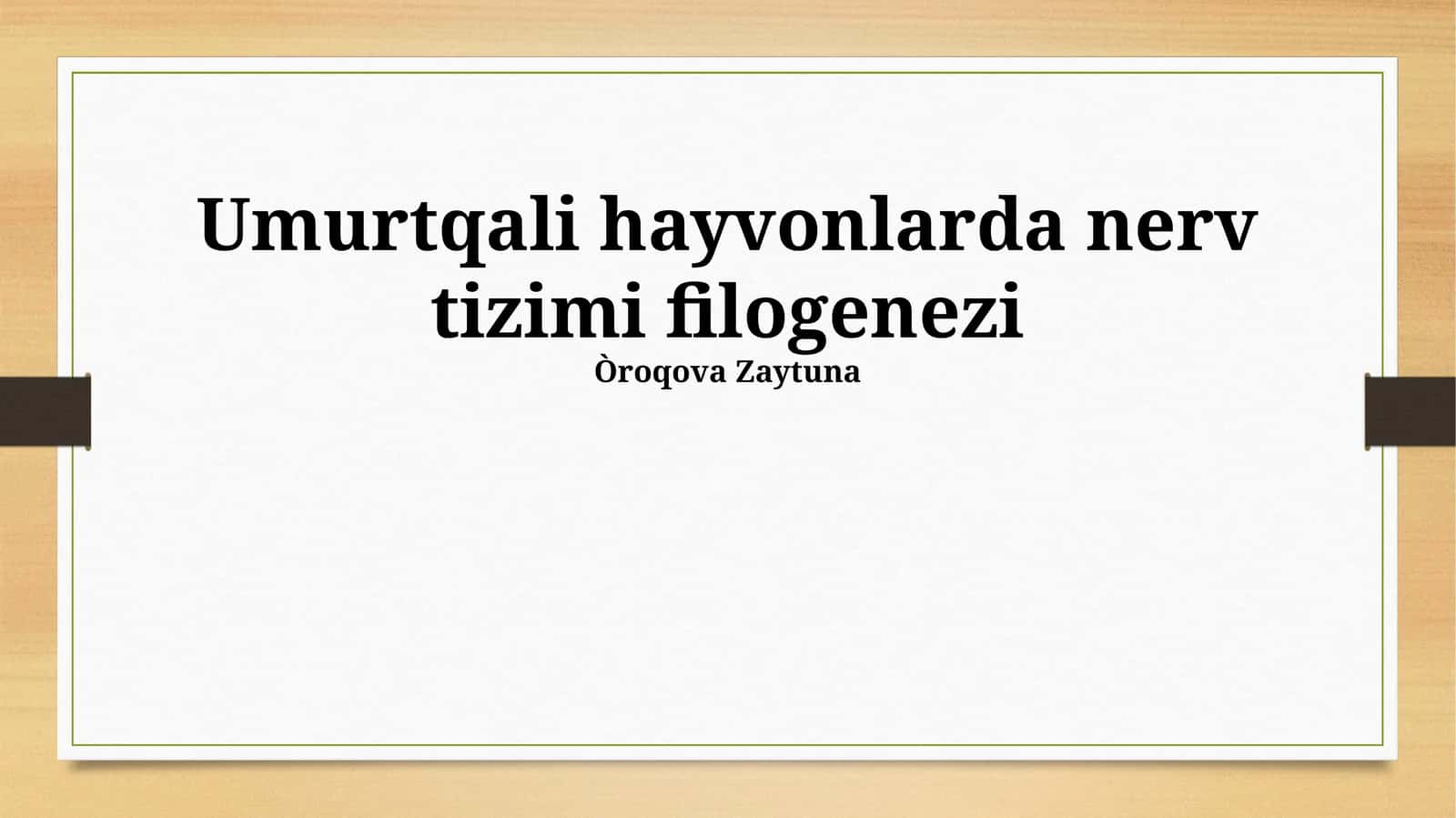 Umurtqali hayvonlarda nerv tizimi filogenezi