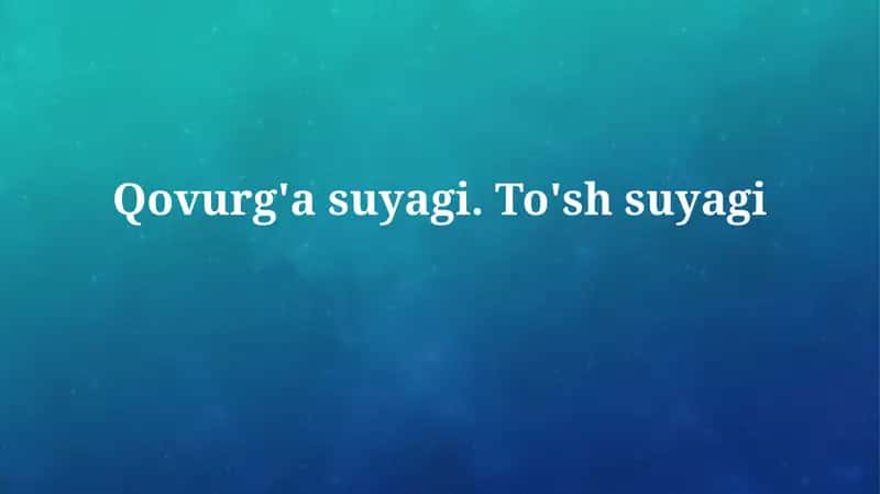 Qovurg'a suyagi.To'shsuyagi