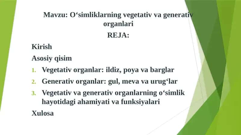 O‘simliklarning vegetativ va generativ organlari