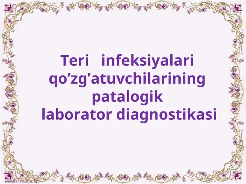 Teri infeksiyalari