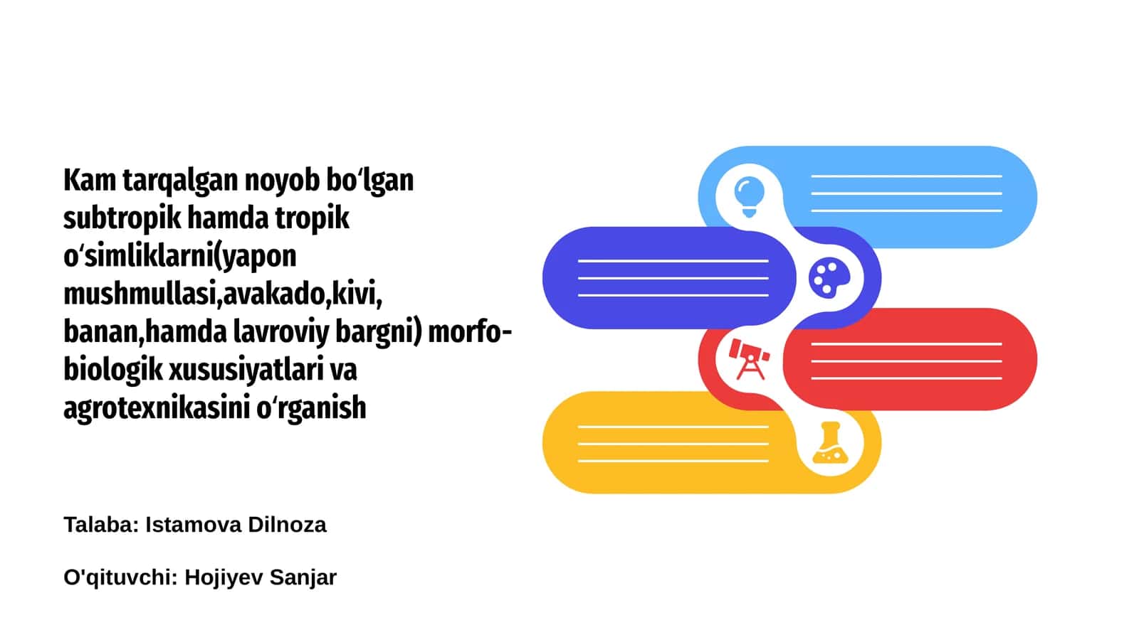 Yapon mushmullasi: Morfo-biologik xususiyatlari