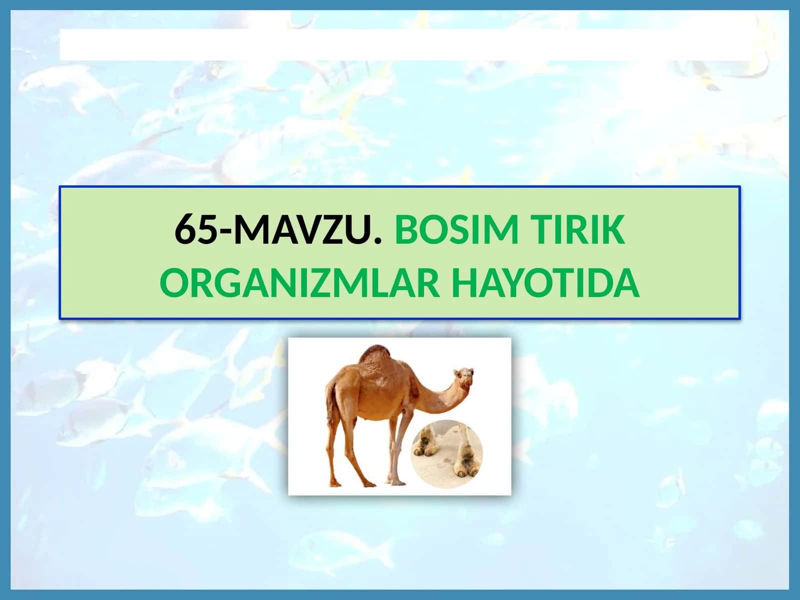 MAVZU.BOSIM TIRIK