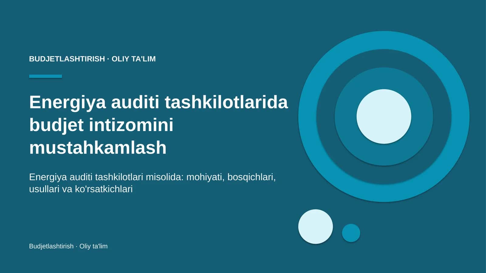 Energiya auditi tashkilotlarida budjet intizomini mustahkamlash