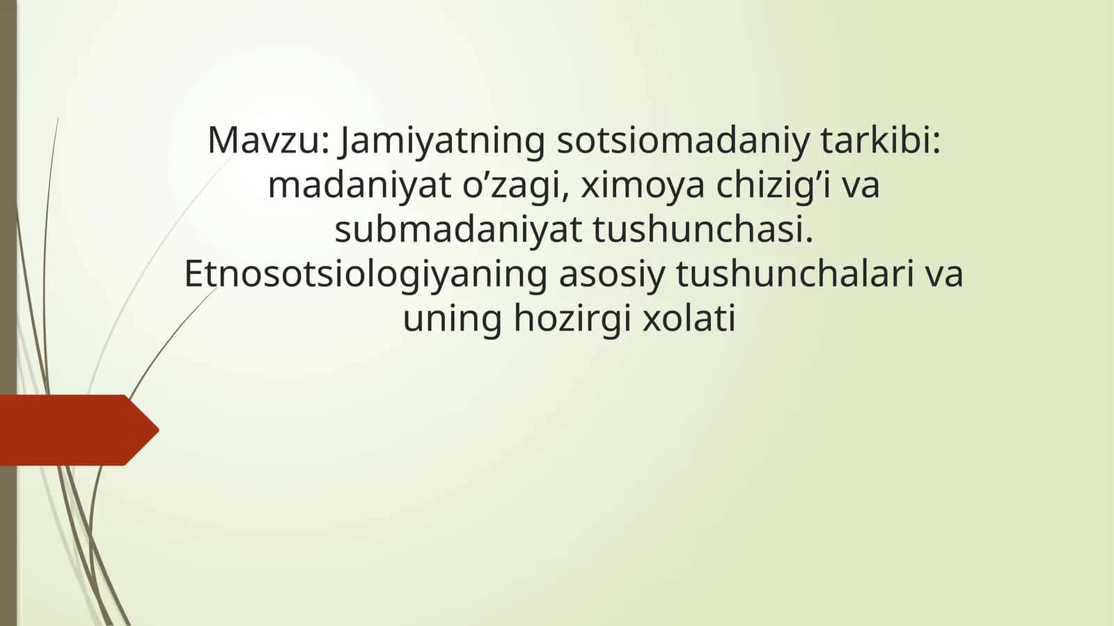 Jamiyatning sotsiomadaniy tarkibi madaniyat o’zagi, ximoya chizig’i va submadaniyat tushunchasi. Etnosotsiologiyaning asosiy tushunchalari va uning hozirgi xolati