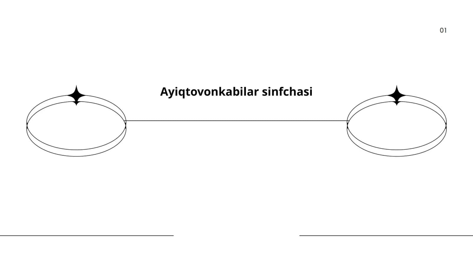 Ayiqtovonkabilar sinfchasi