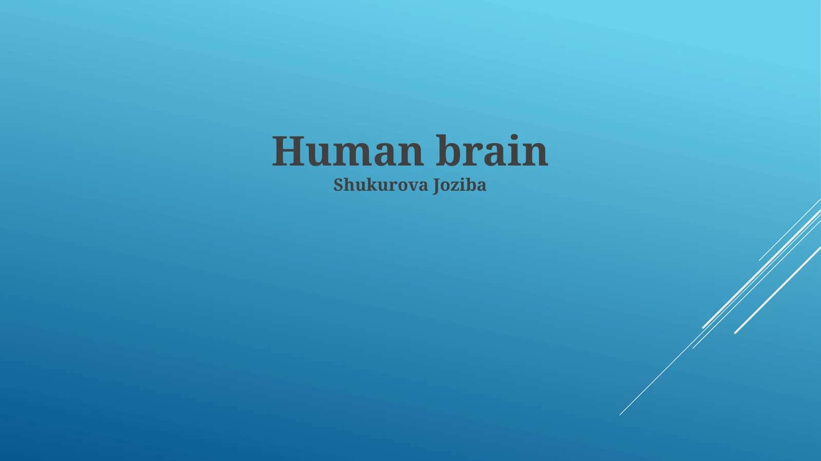 Human brain