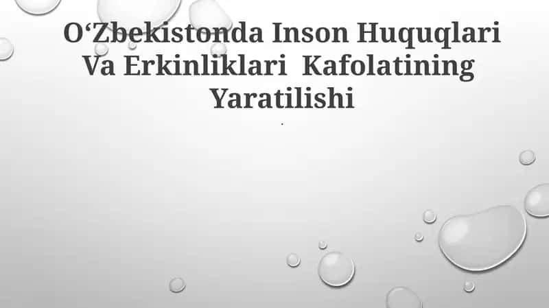 O‘Zbekistonda Inson Huquqlari Va Erkinliklari Kafolatining Yaratilishi