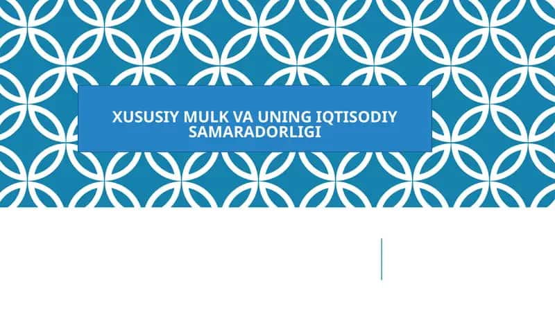 XUSUSIY MULK VA UNING IQTISODIY SAMARADORLIGI